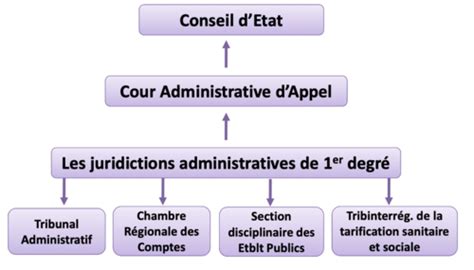 Des erreurs administratives qui libèrent : le système judiciaire français en crise