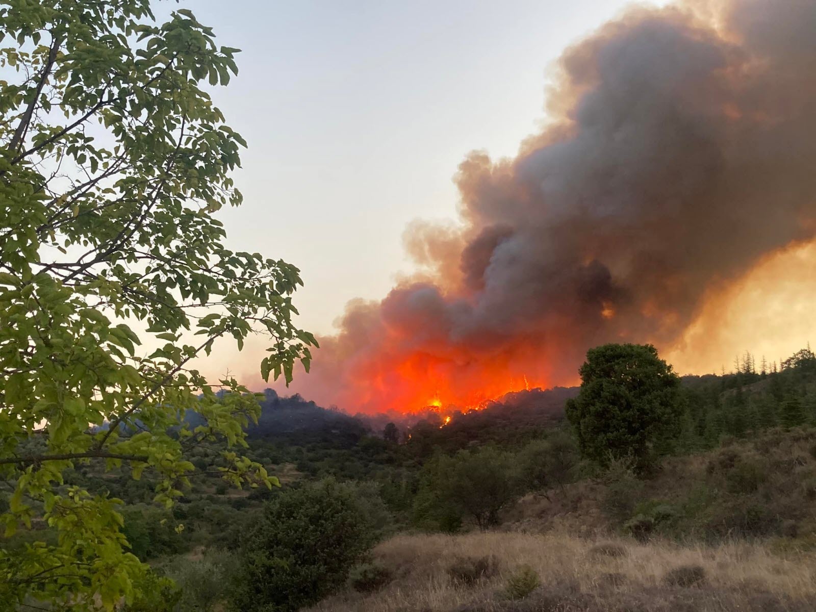 Un été incendié en Ardèche : la canicule et les imprudences menacent les forêts