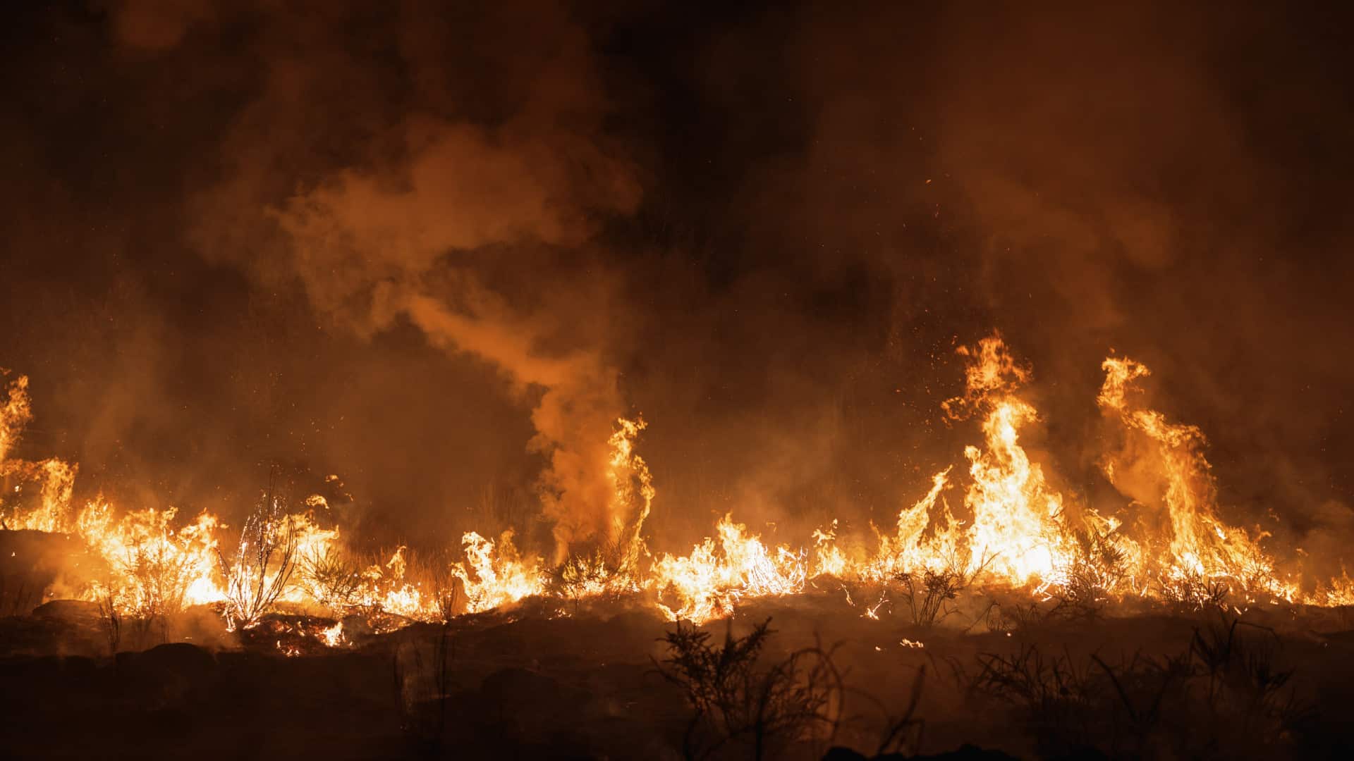 L&rsquo;Ardèche court un risque de catastrophe : des flammes menacent les habitants et la nature